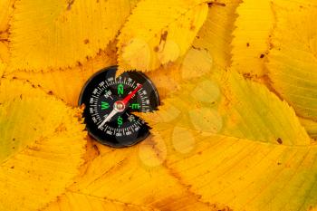 Compass lies on the autumn fallen leaves.Survival in a nature concept