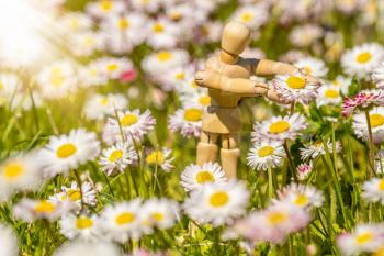Wooden doll picking up flowers on a meadow