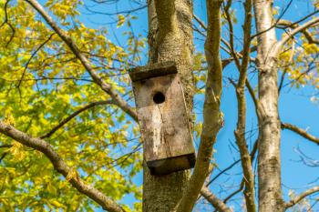 Wooden birdhouse hanging on a tree background. Spring season.