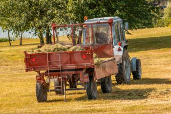 Tractor takes out the freshly cut grass in park