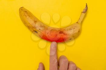 Banana changing color when finger touching it. Genetically modified banana or organism GMO.