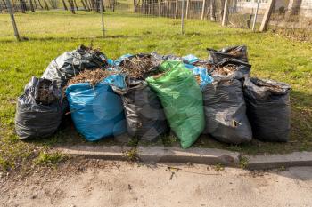 Bags full of garbage collected from park in spring day in city