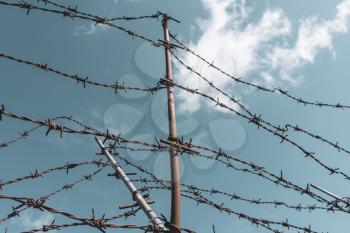Barbed wire fencing against a blue sky background.  Imprisonment concept.