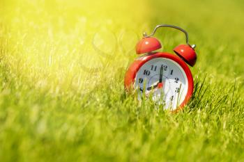 Red alarm clock in green grass in the sunny morning