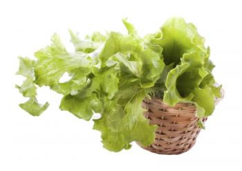 Lettuce set in the basket isolated on white