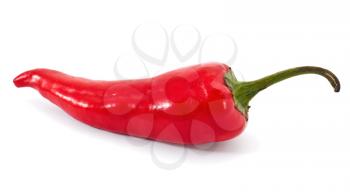 Chilli pepper on white background