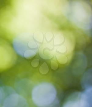 Abstract green spring background