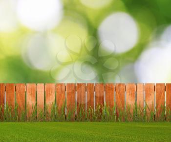 Green grass in garden with fence near the brick wall