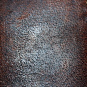 Cracked dark leather surface