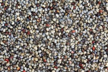 Dried poppry seeds macro background