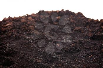 Black good earth soil for plants