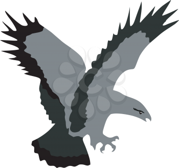 Illustration of eagle