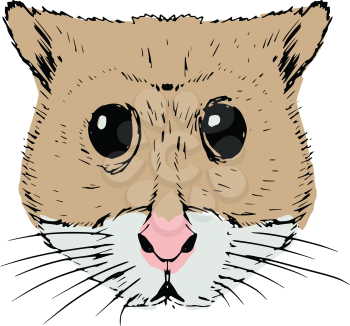 hand drawn, sketch, cartoon illustration of hamster