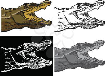 Editable vector illustrations in variations. Crocodile