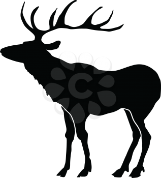 silhouette of deer