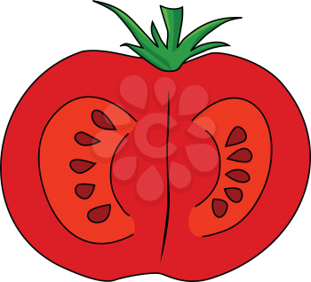 vector illustration of cutting tomato