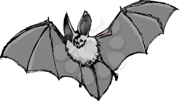 bat, illustration of wildlife, zoo, symbol of Halloween, horror at night