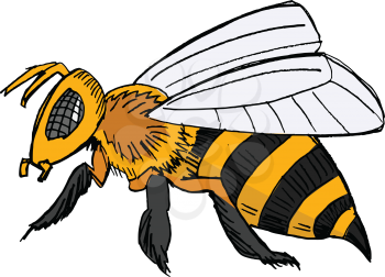 bee, illustration animal of meadow, insect, honey