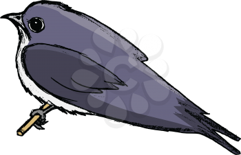 vector, coloured, sketch, hand drawn image of swallow