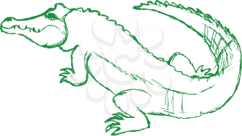 vector, sketch, hand drawn illustration of crocodile