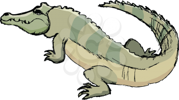 sketch of crocodile, illustration of wildlife, zoo, animals
