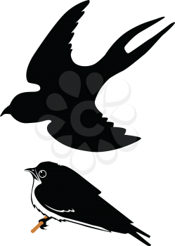 silhouettes of swallows, springtime motives
