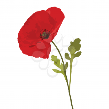 Royalty Free Clipart Image of a Poppy