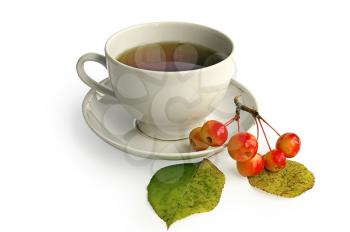 Tea in a white porcelain cup and a sprig of wild apples with leaves isolated on white background