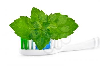 A toothbrush with a sprig of mint isolated on white background