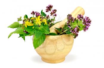 Sprigs of mint, lemon balm, oregano, tutsan, sage leaves in a wooden mortar isolated on white background
