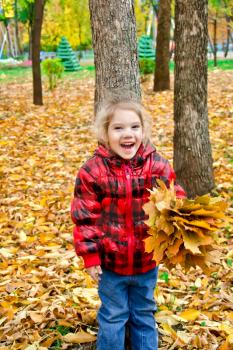 A little girl in a red plaid jacket with an armful of yellow leaves on a background of trees and yellow foliage