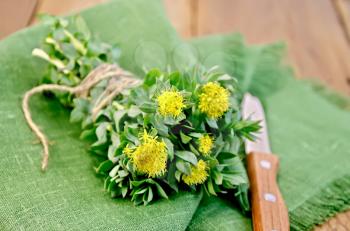 Rhodiola rosea flowers, tied with twine, a knife on a green napkin on a background of wooden boards