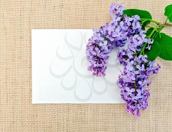 Twig blooming lilac with a white sheet of paper on a background of rough cloth sack