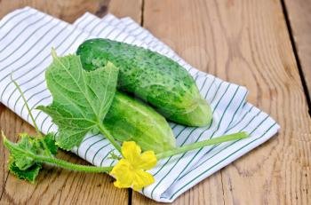 Cucumbers with yellow flowers and green leaves on a napkin on the background of wooden boards