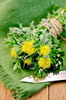 Rhodiola rosea flowers tied with string with a knife on a green napkin on a background of wooden boards