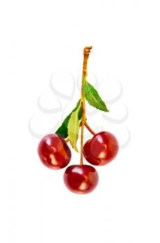Sprig with three cherries and green leaves isolated on white background