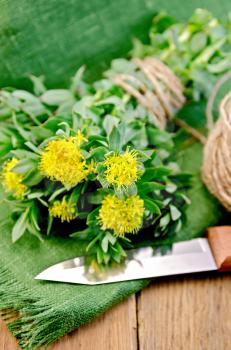 Rhodiola rosea flowers tied with twine, ball of twine, knife on green napkin on the background of wooden boards