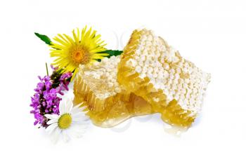 Honeycomb with fragrant honey, wild flowers isolated on white background
