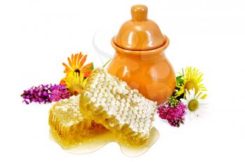 Honeycomb with fragrant honey, wildflowers, ceramic jug isolated on white backgroun
