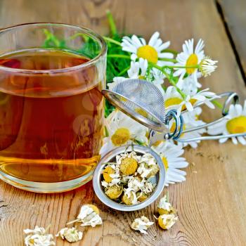Metal sieve with dried chamomile flowers, a bouquet of fresh flowers of chamomile, tea in glass mug on the background of wooden boards