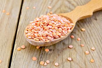 Red lentils in a wooden spoon on a wooden boards background