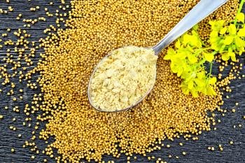 Mustard powder in a metal spoon, seeds and a flower of mustard on a background of a wooden board from above