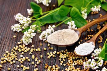 Buckwheat flour from brown and green cereals in two spoons, flowers and leaves on the background of a wooden board