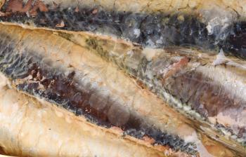 Royalty Free Photo of Sardines in Oil