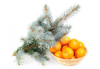 Royalty Free Photo of Pine Needles and a Basket of Oranges