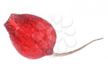 Royalty Free Photo of a Peeled Beet