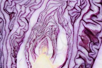Royalty Free Photo of Sliced Cabbage
