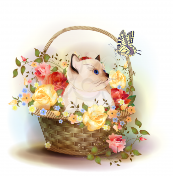 Illustration of  the siamese kitten sitting in a basket with roses. 