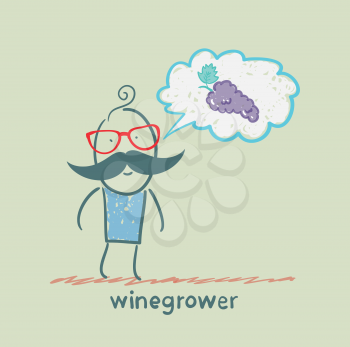 winegrower thinks of grapes