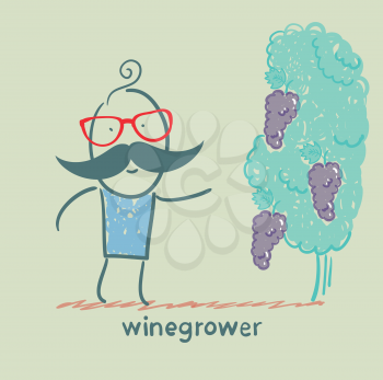 winegrower looks at grapes